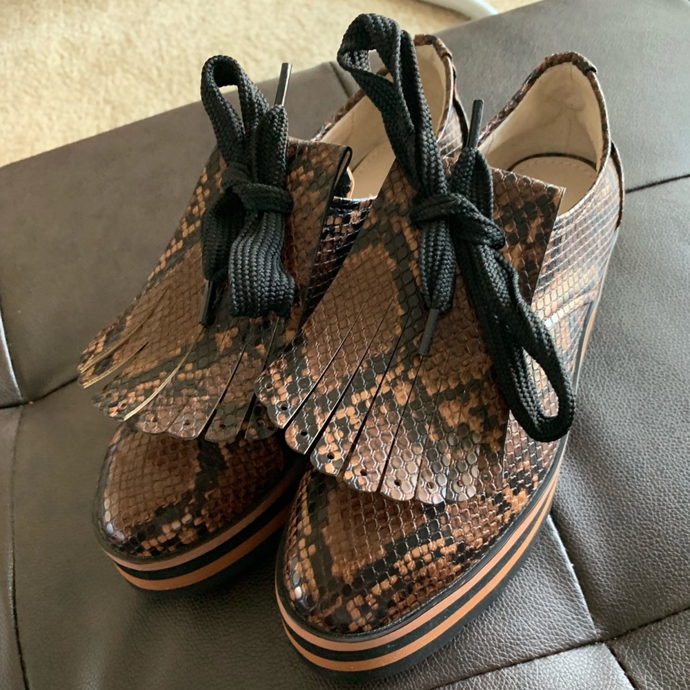 Trendy oxfords